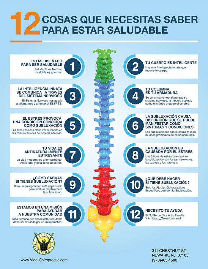 Vida Chiropractic - 12 Cosas Que Necesitas Saber