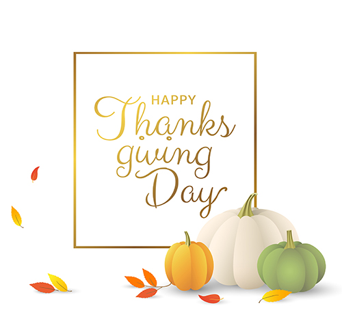 Happy Thanksgiving Day From Vida Chiropractic